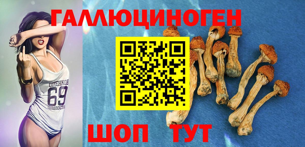 Ростов-на-Дону  Галлюциногенные грибы ЛСД  Вход с VPN 